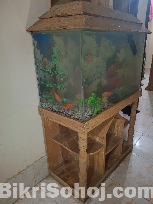 Aquriam ৩০ইঞ্চি /১৫ইঞ্চি